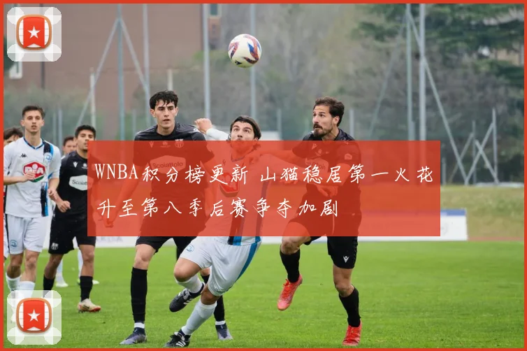 WNBA积分榜更新 山猫稳居第一火花升至第八季后赛争夺加剧