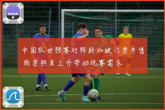 中国队世预赛对阵新加坡门票开售 购票热度上升带动观赛需求