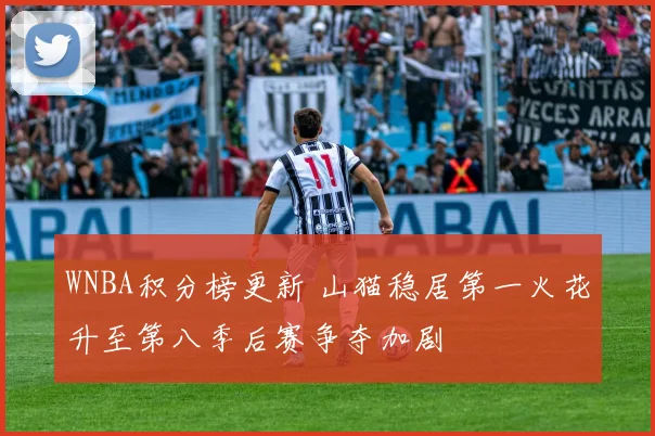 WNBA积分榜更新 山猫稳居第一火花升至第八季后赛争夺加剧
